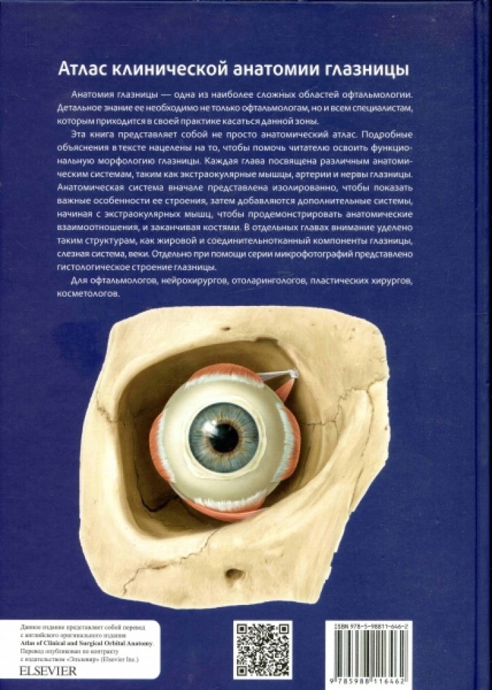 Даттон Дж. Дж. Атлас клинической анатомии глазницы.