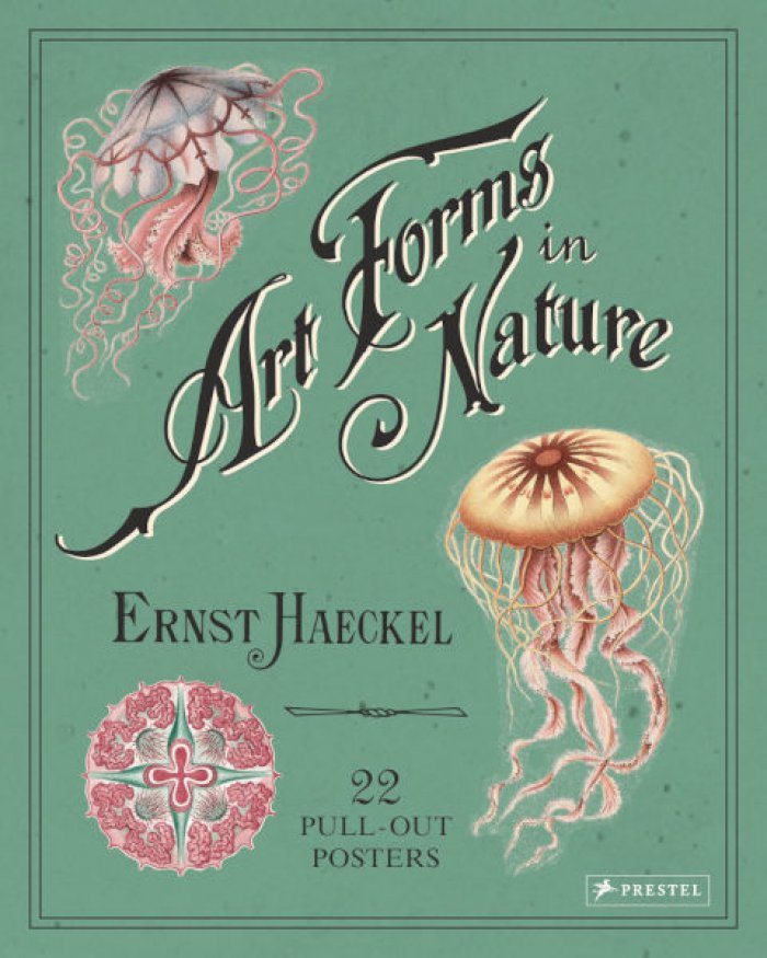Геккель Эрнст. Art Forms in Nature. 22 Pull-Out Posters. Красота форм в природе. Эрнст Геккель. 22 больших постера (английский язык). Тискусство.