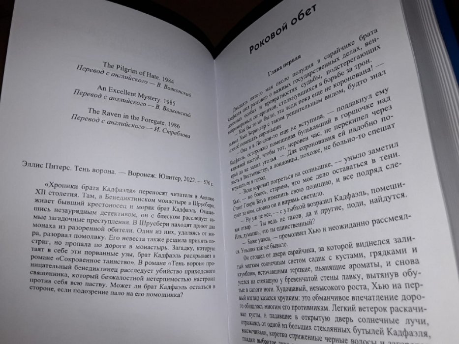 Питерс Э. Тень Ворона.