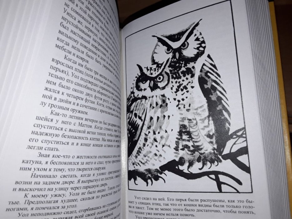 Моуэтт Ф. Змеиное кольцо.