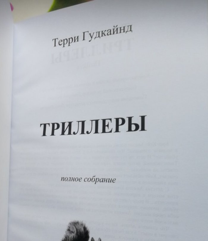 Гудкайнд Терри. Триллеры . Девочка с Луны. Шальная Ванда. Скверна. Отродье