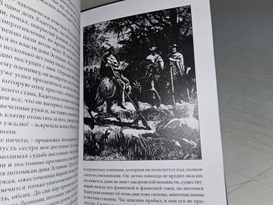 Эмар Г. Вождь окасов.