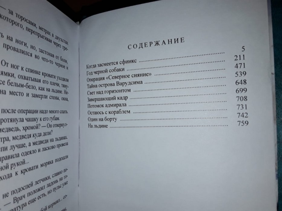 Подколзин И. Год черной собаки.