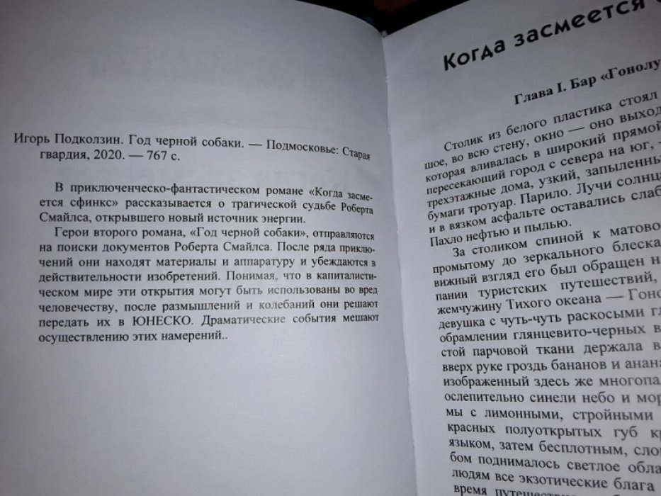Подколзин И. Год черной собаки.
