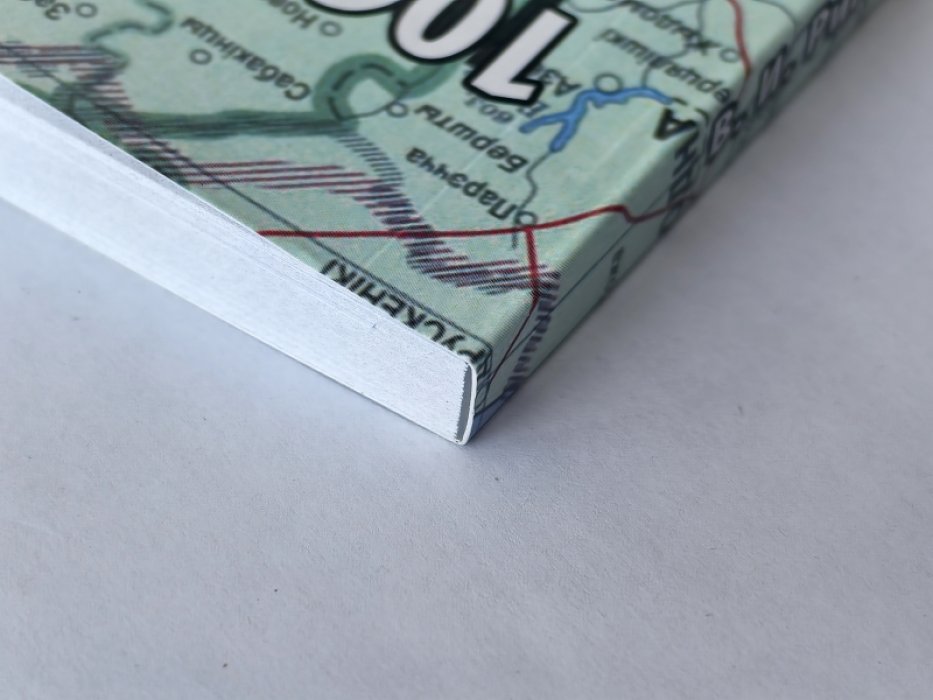 Ригин Викентий Иванович. 1060 дней в тылу врага. Партизанское движение в районе Слоним-Ивацевичи-Пружаны 1941-1944 гг.