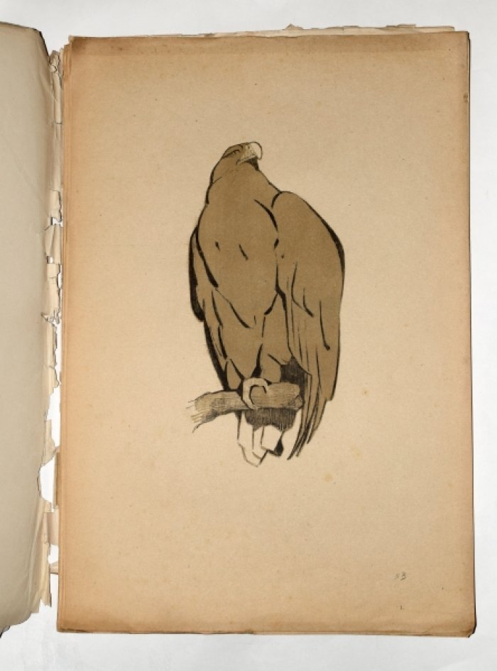 Ватагин В. Рисунки в автолитографиях: альбом литографий (издание 1922 года)