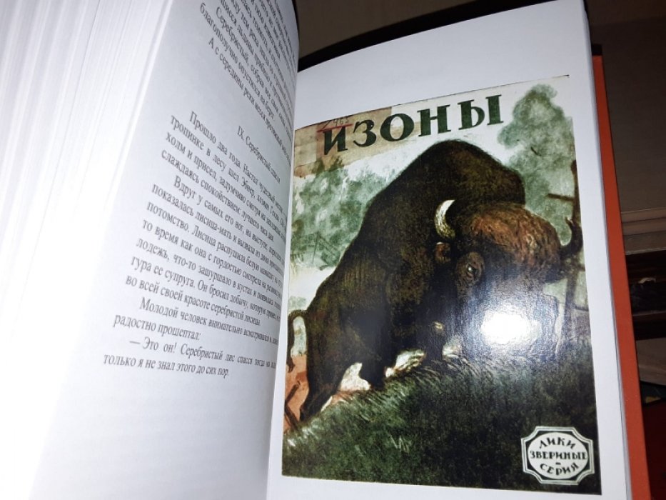 Лики звериные. Слоны. Львы. Лисы. Бизоны. Кони. Моржи. Бобры.