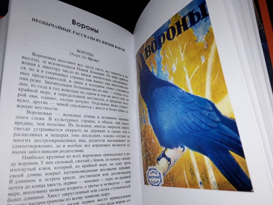 Лики звериные. Обезьяны. Крысы. Лоси. Олени. Ослы. Орлы. Вороны.
