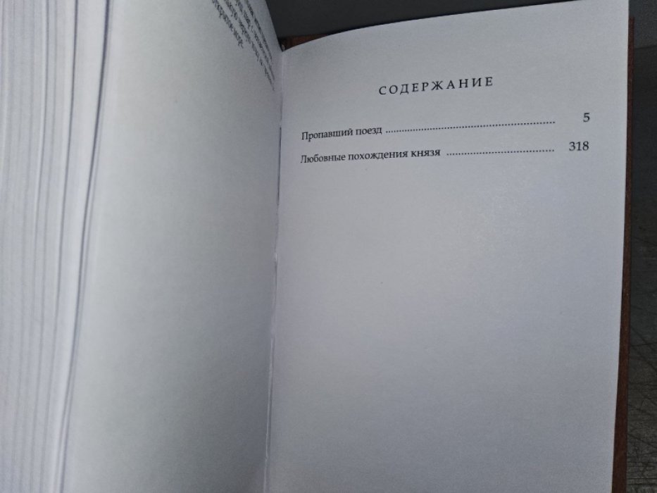 Сувестр П., Аллан М. Пропавший поезд. Любовные похождения князя.