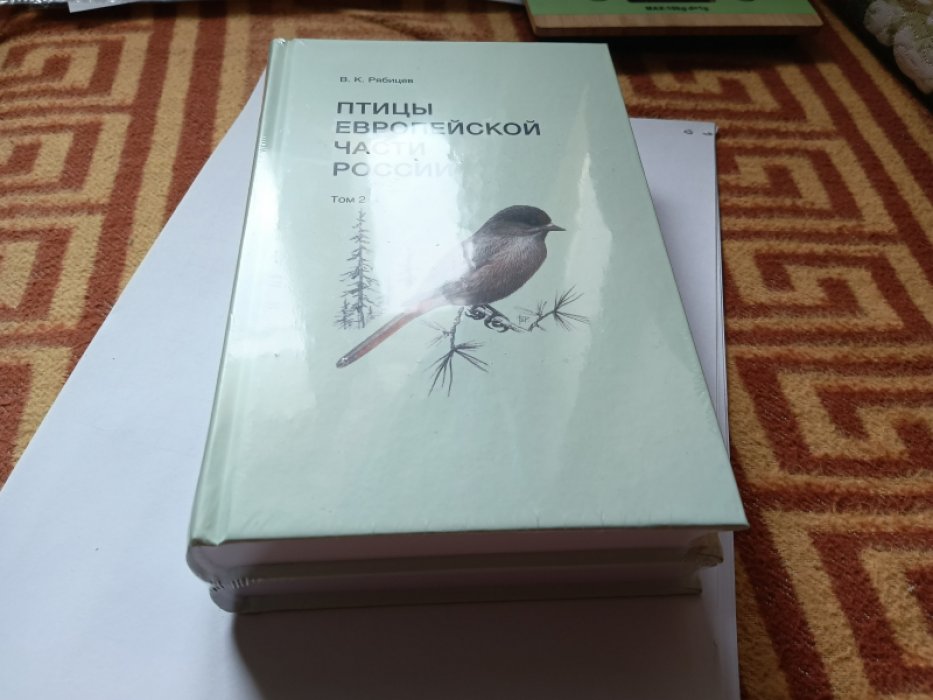 Рябицев В.К. Птицы Европейской части России. Справочник-определитель. В 2-х томах.