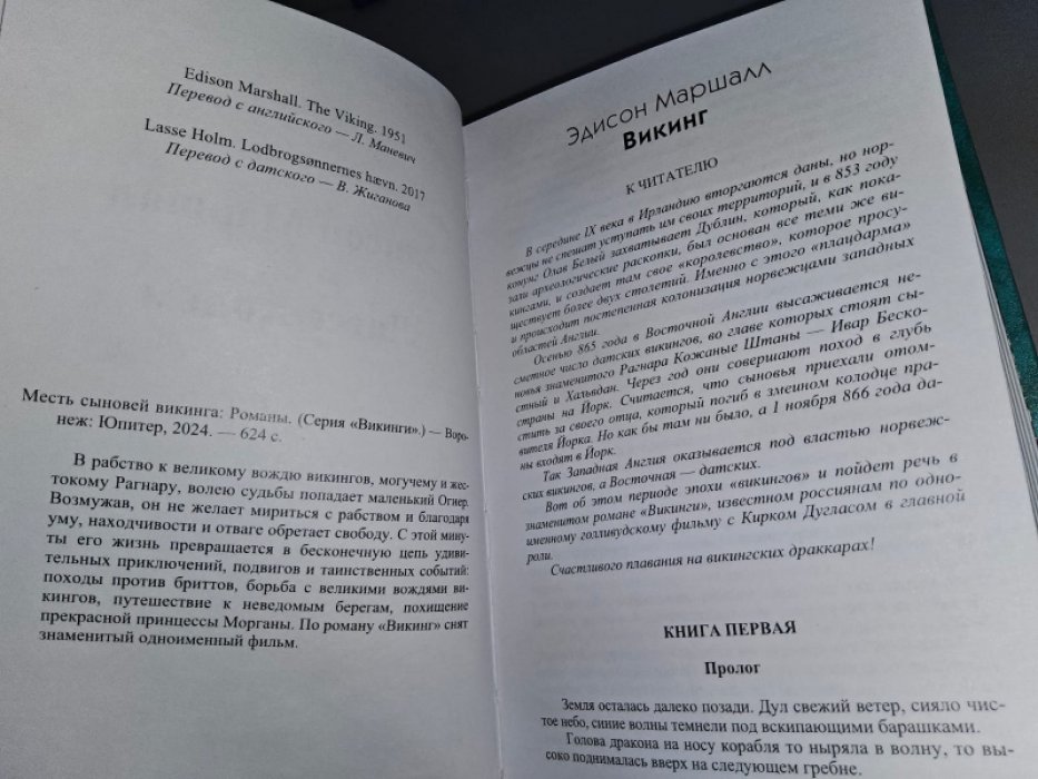 Месть сыновей викинга.