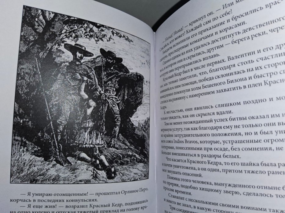 Эмар Г. Закон Линча.