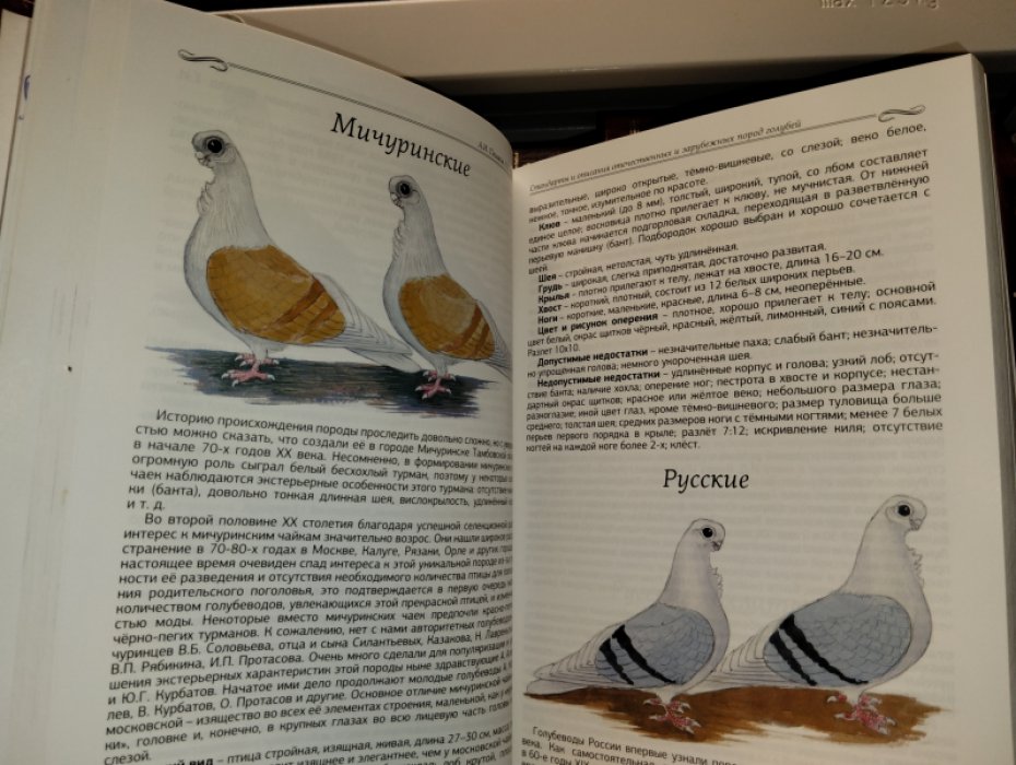 Пешков,Кузнецов. Стандарты и описания отечественных и зарубежных пород голубей.