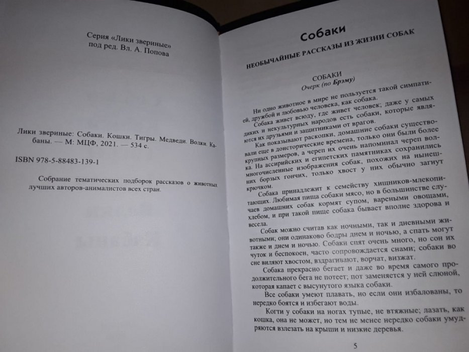 Лики звериные: Собаки. Кошки. Тигры. Медведи. Волки. Кабаны.