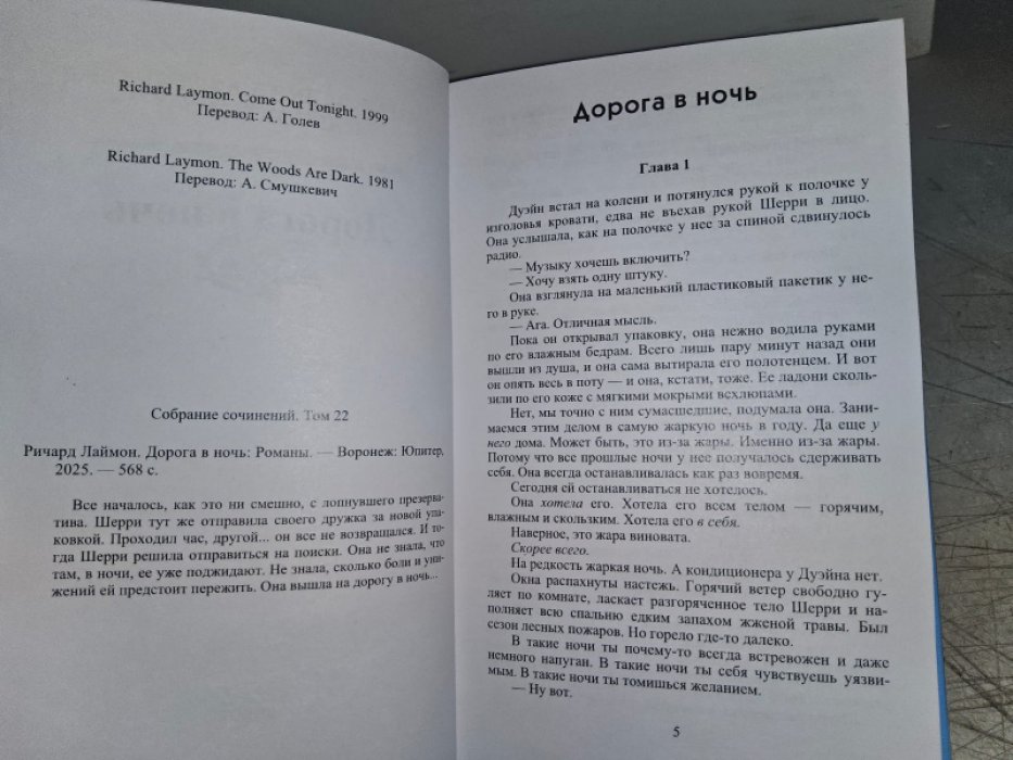 Лаймон Р. Дорога в ночь.