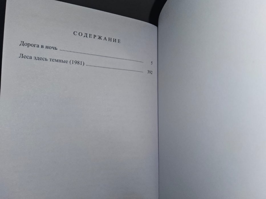 Лаймон Р. Дорога в ночь.