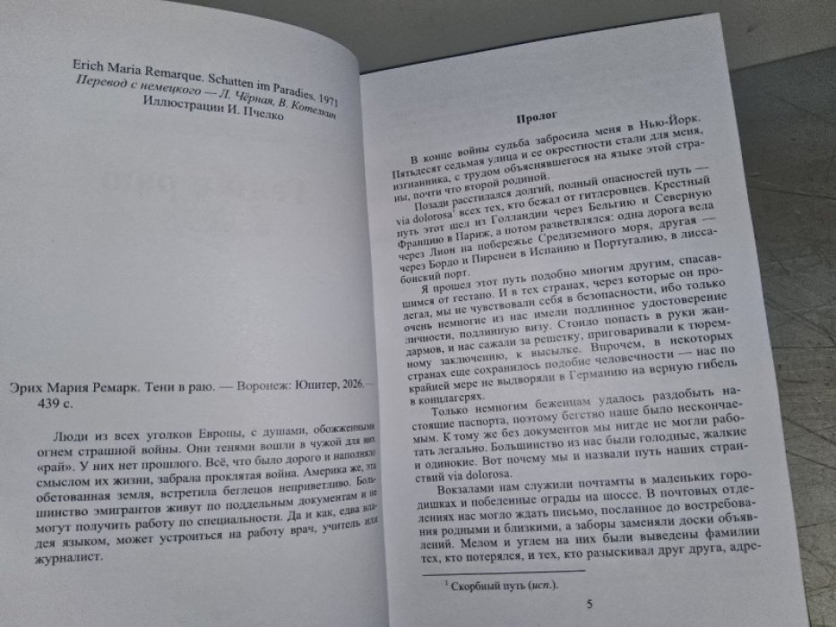 Ремарк Э. Тени в раю.