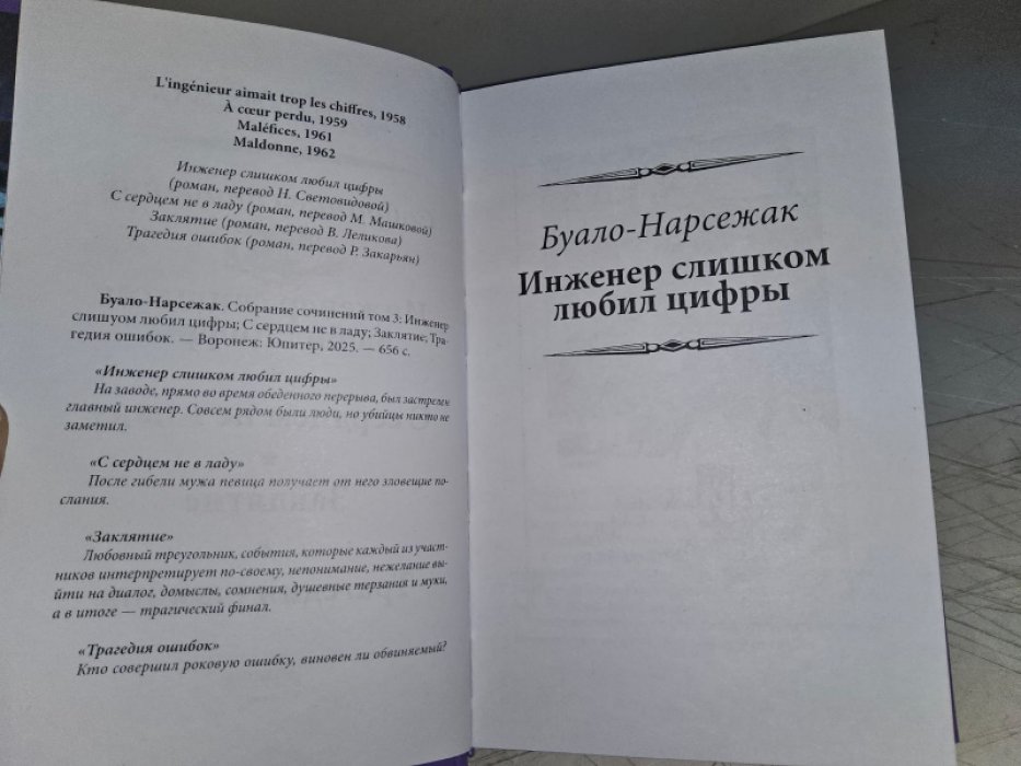 Буало П., Нарсежак Т. Инженер слишком любил цифры.
