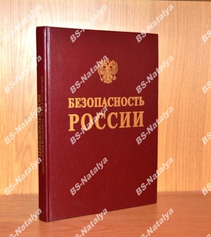 Энергетическая безопасность (ТЭК и государство).