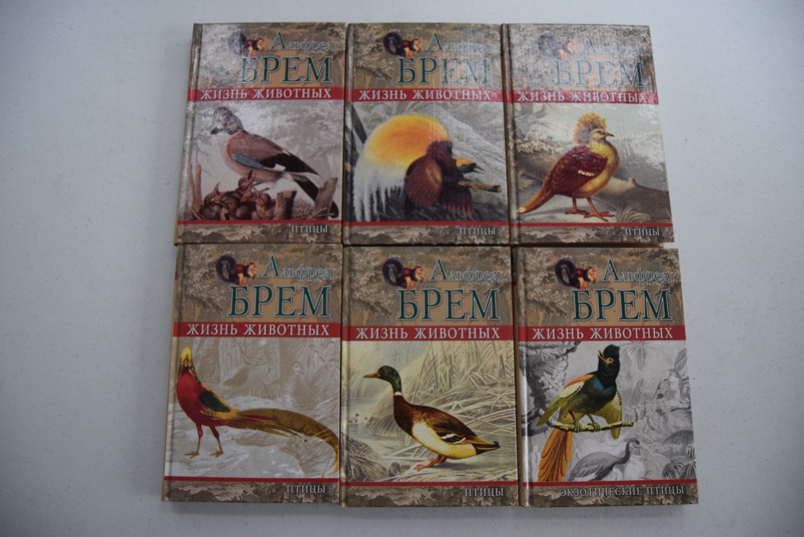 Брем Альфред. (Брэм А.) Жизнь животных. 24 книги. Полный комплект.