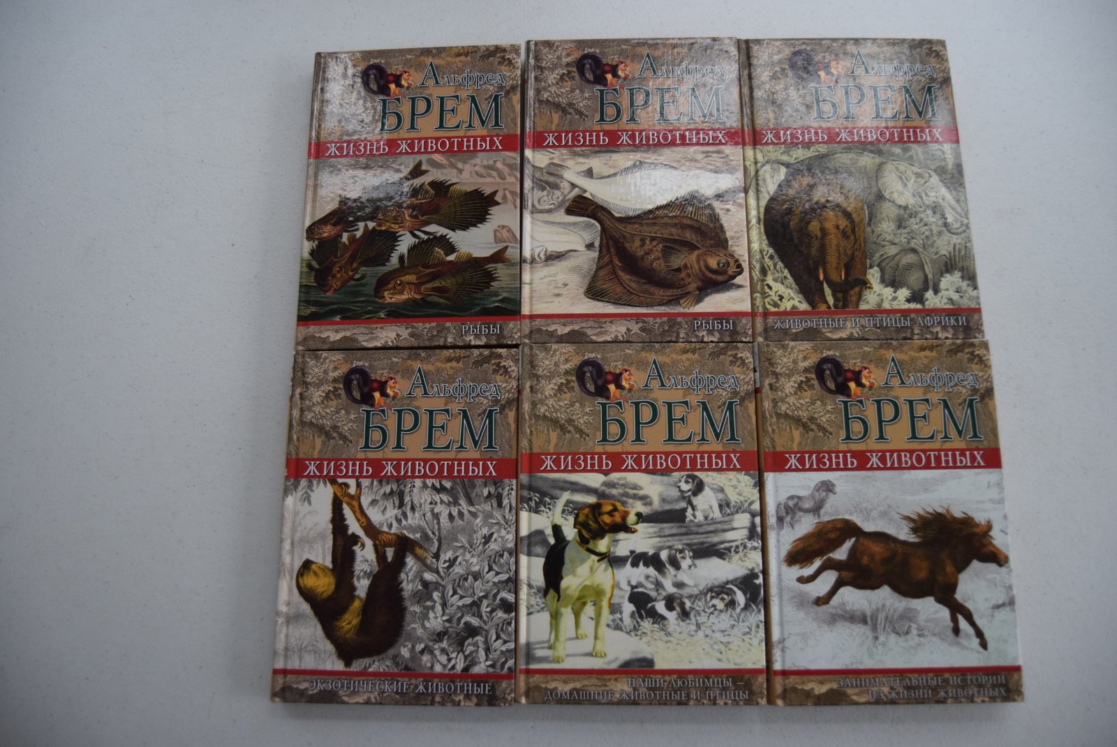 Брем Альфред. (Брэм А.) Жизнь животных. 24 книги. Полный комплект.