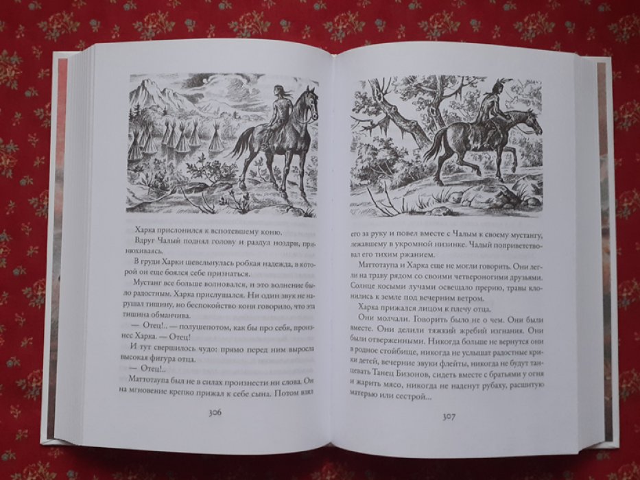 Вельскопф-Генрих, Лизелотта. Сыновья Большой Медведицы (трилогия): Харка, сын вождя: Изгнанники, или Топ и Харри: Токей Ито.
