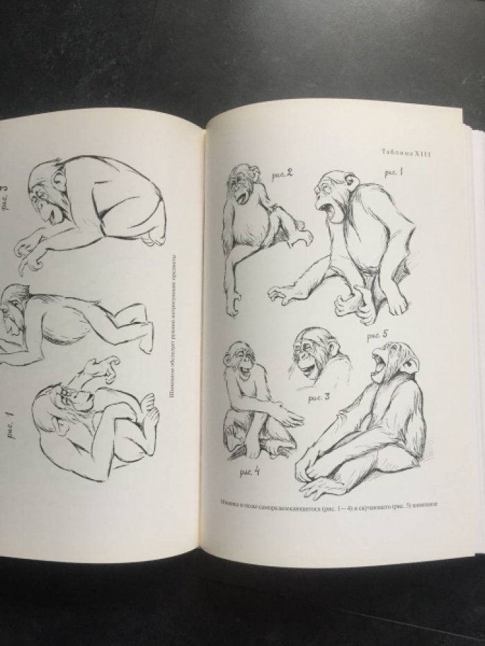 Ладыгина-Котс Н.Н. Дитя шимпанзе и дитя человека в их инстинктах, эмоциях, играх, привычках и выразительных движениях со 145 таблицами. В 2-х т.
