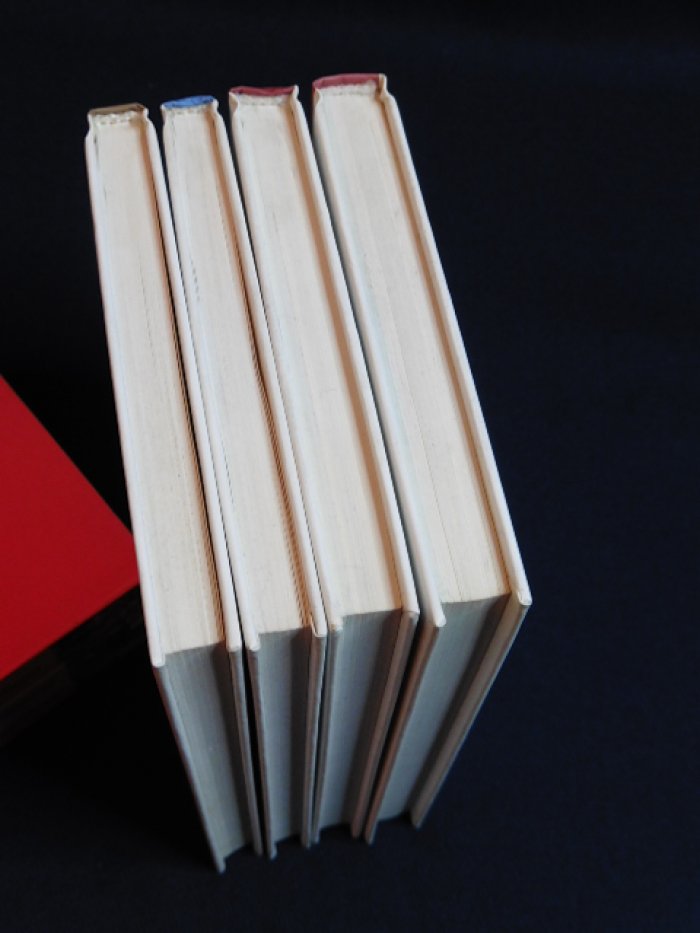 Ривера Луис. Четыре книги серии: 1. Змеелов. 2. Есть только те, кто сражается. 3. Matador. 4. К западу от сметри.