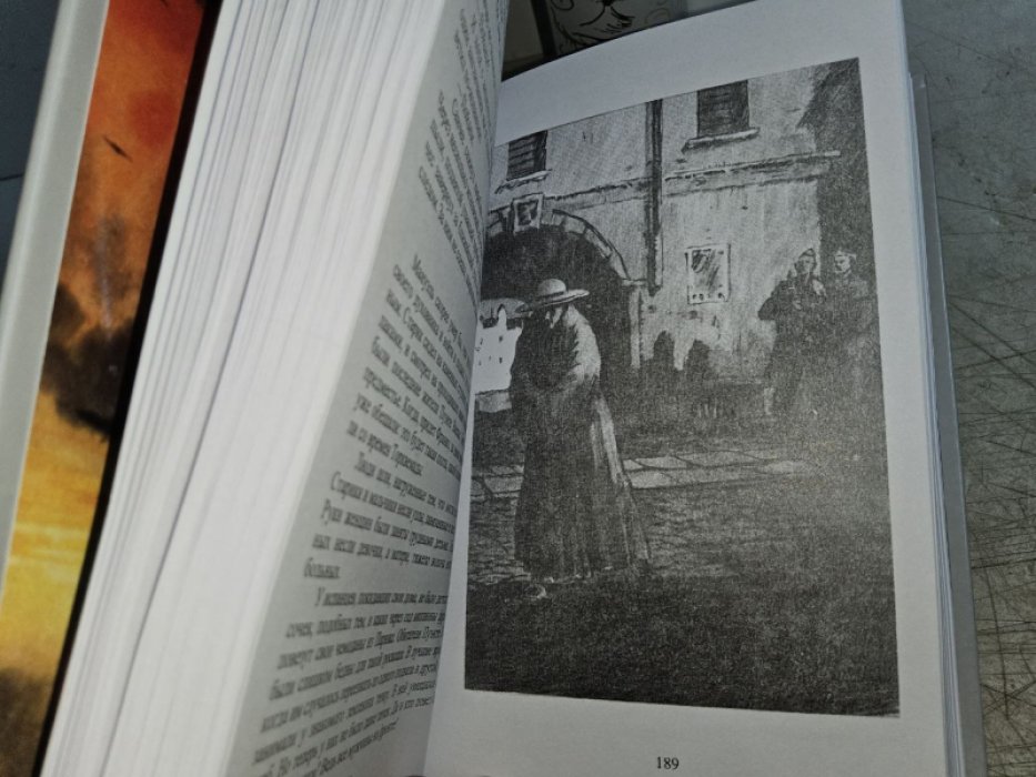 Шпанов Н. Заговорщики (2тт.)