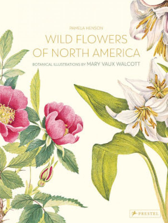 Henson Pamela. Wild Flowers of North America. Botanical Illustrations by Mary Vaux Walcott. Дикие цветы Северной Америки. Ботанические иллюстрации Мэри Уолкотт (на английском языке). Тискусство.