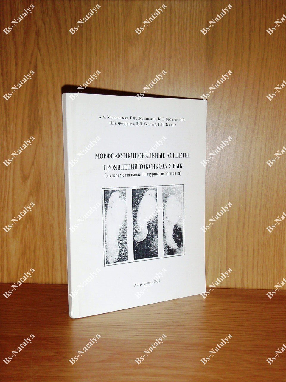 Молдавская А.А., и др. Морфо-функциональные аспекты проявления токсикоза у рыб (экспериментальные и натурные наблюдения).