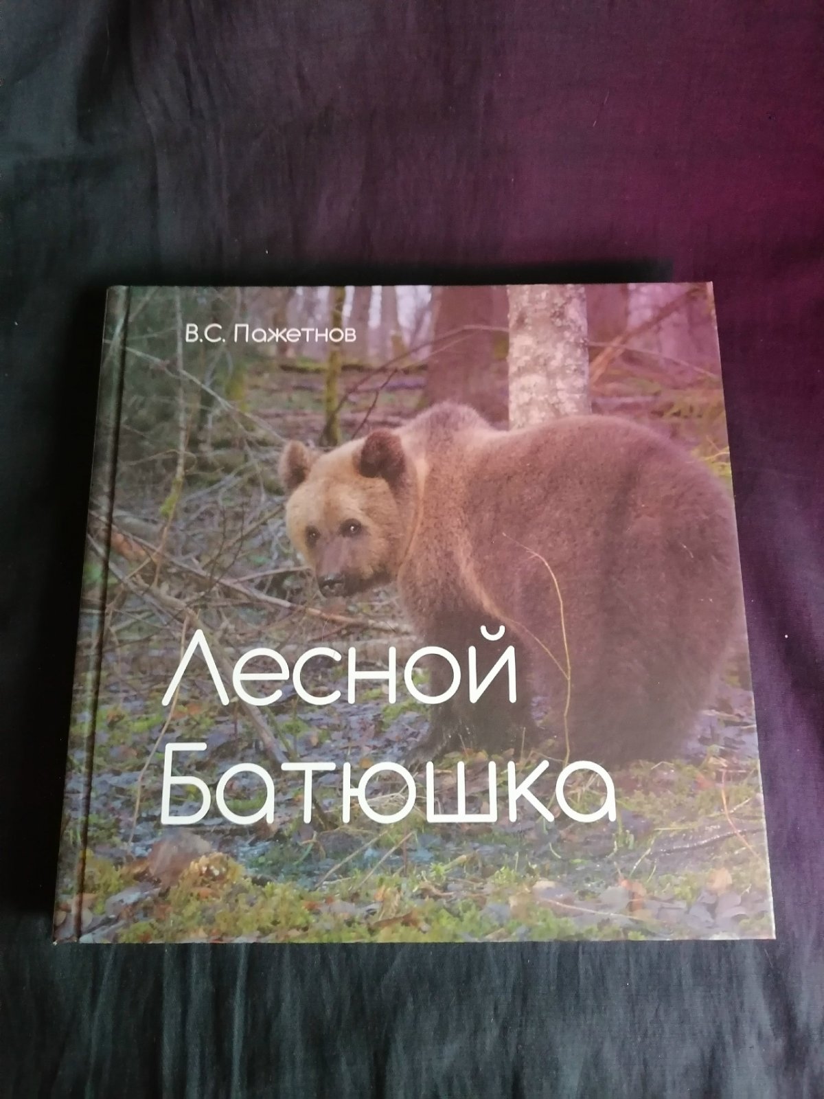 Пажетнов В. С. Лесной батюшка.