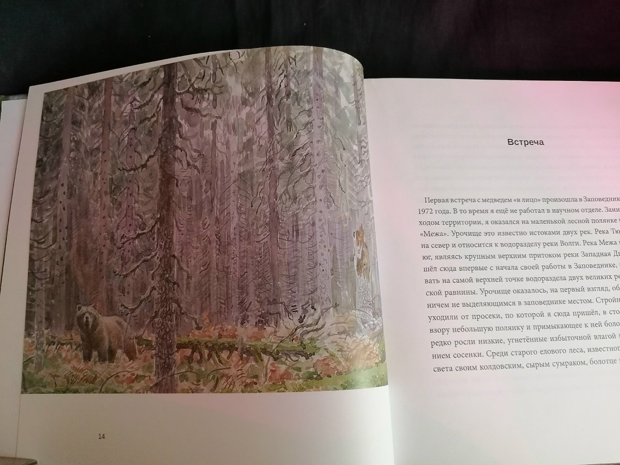 Пажетнов В. С. Лесной батюшка.