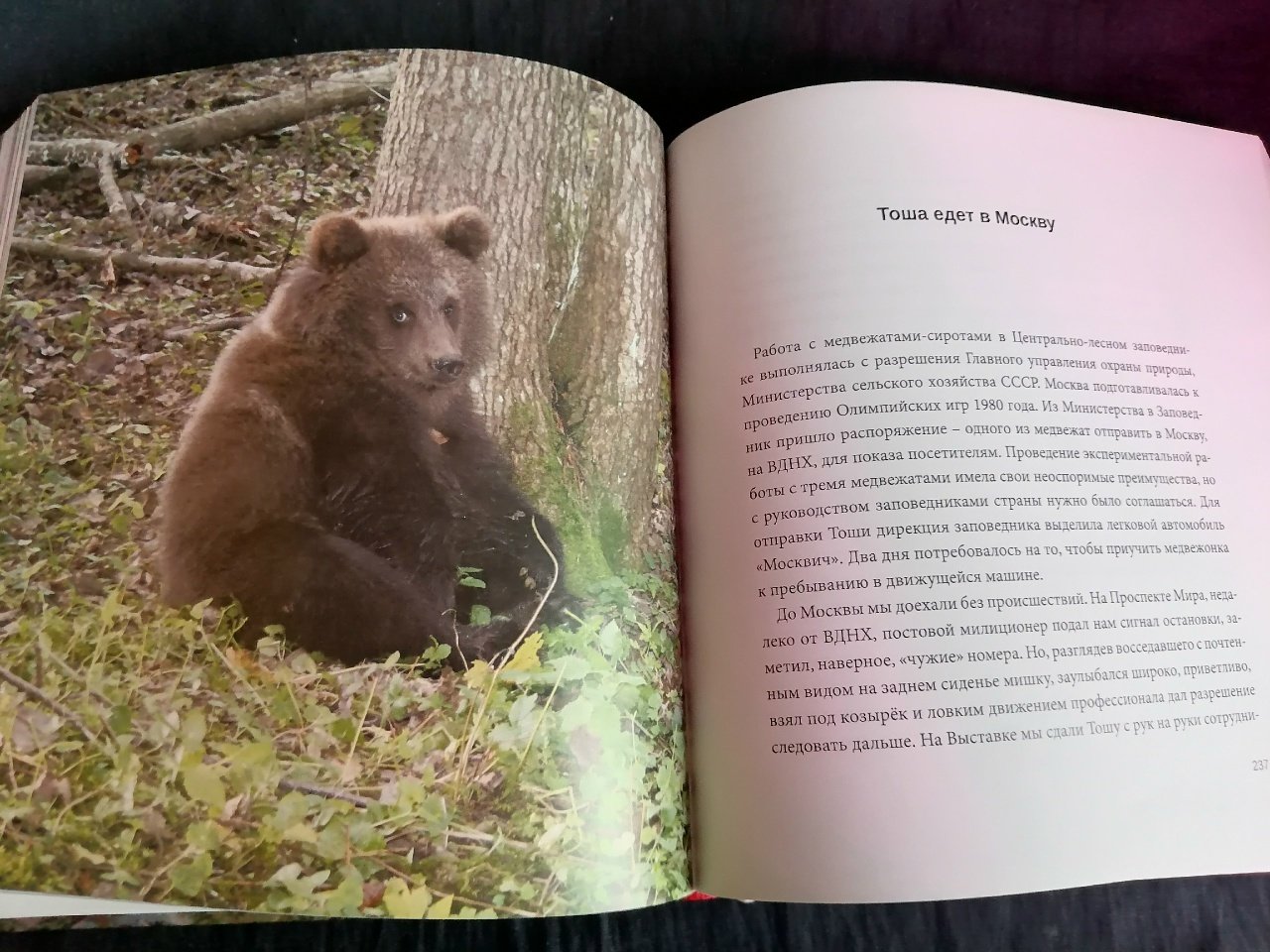 Пажетнов В. С. Лесной батюшка.