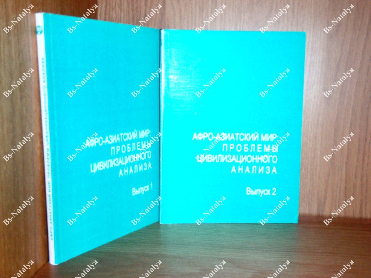 Афро-азиатский мир: проблемы цивилизационного анализа.