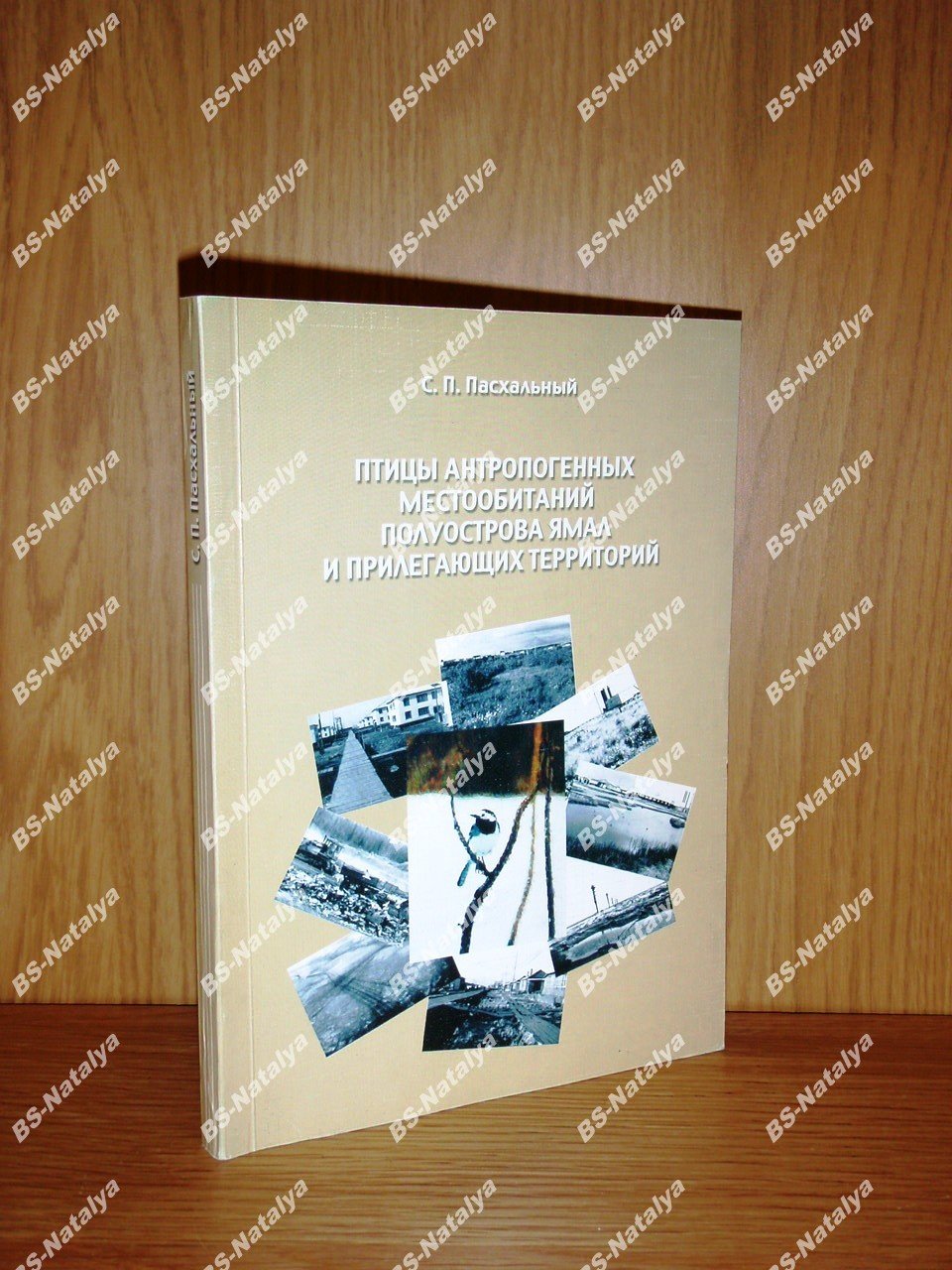 Пасхальный С.П. Птицы антропогенных местообитаний полуострова Ямал и прилегающих территорий.