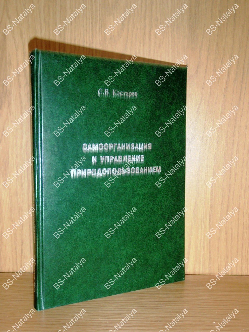 Костарев С.В. Самоорганизация и управление природопользованием (философские аспекты).