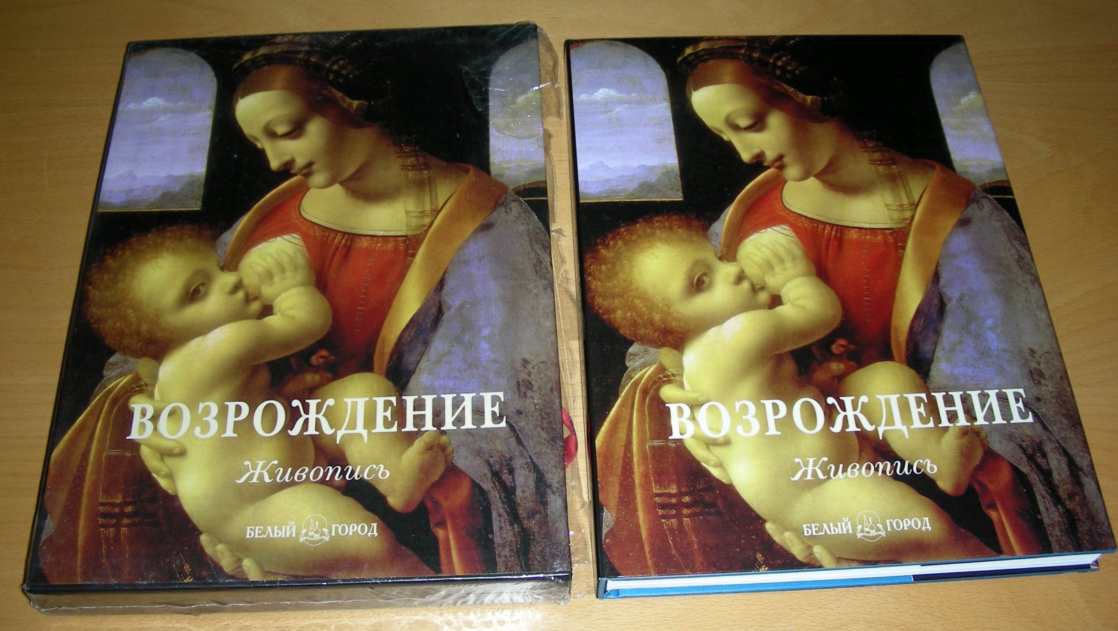 Мак-Коркодейл Чарльз. Возрождение. Живопись 1400-1600.