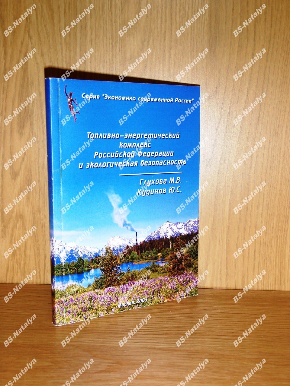Глухова М.В., Кудинов Ю.С. Топливно-энергетический комплекс Российской Федерации и экологическая безопасность.