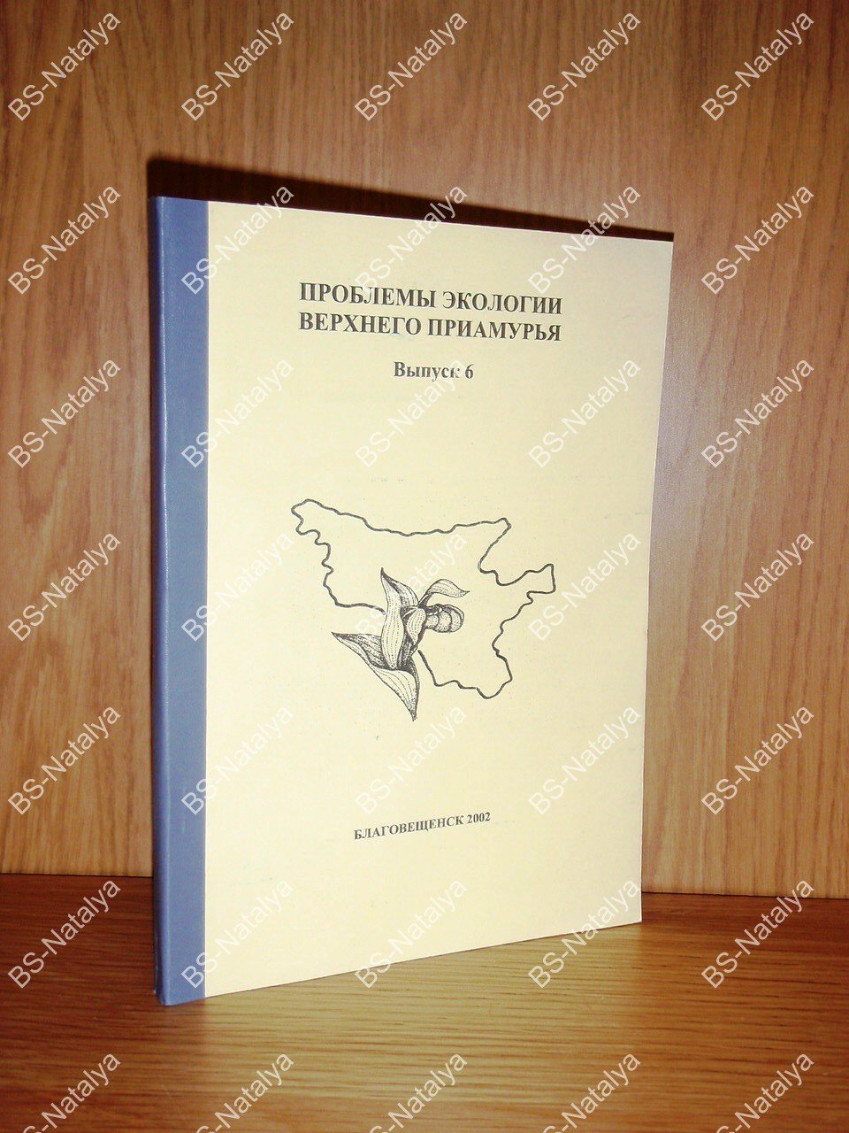 Проблемы экологии Верхнего Приамурья.
