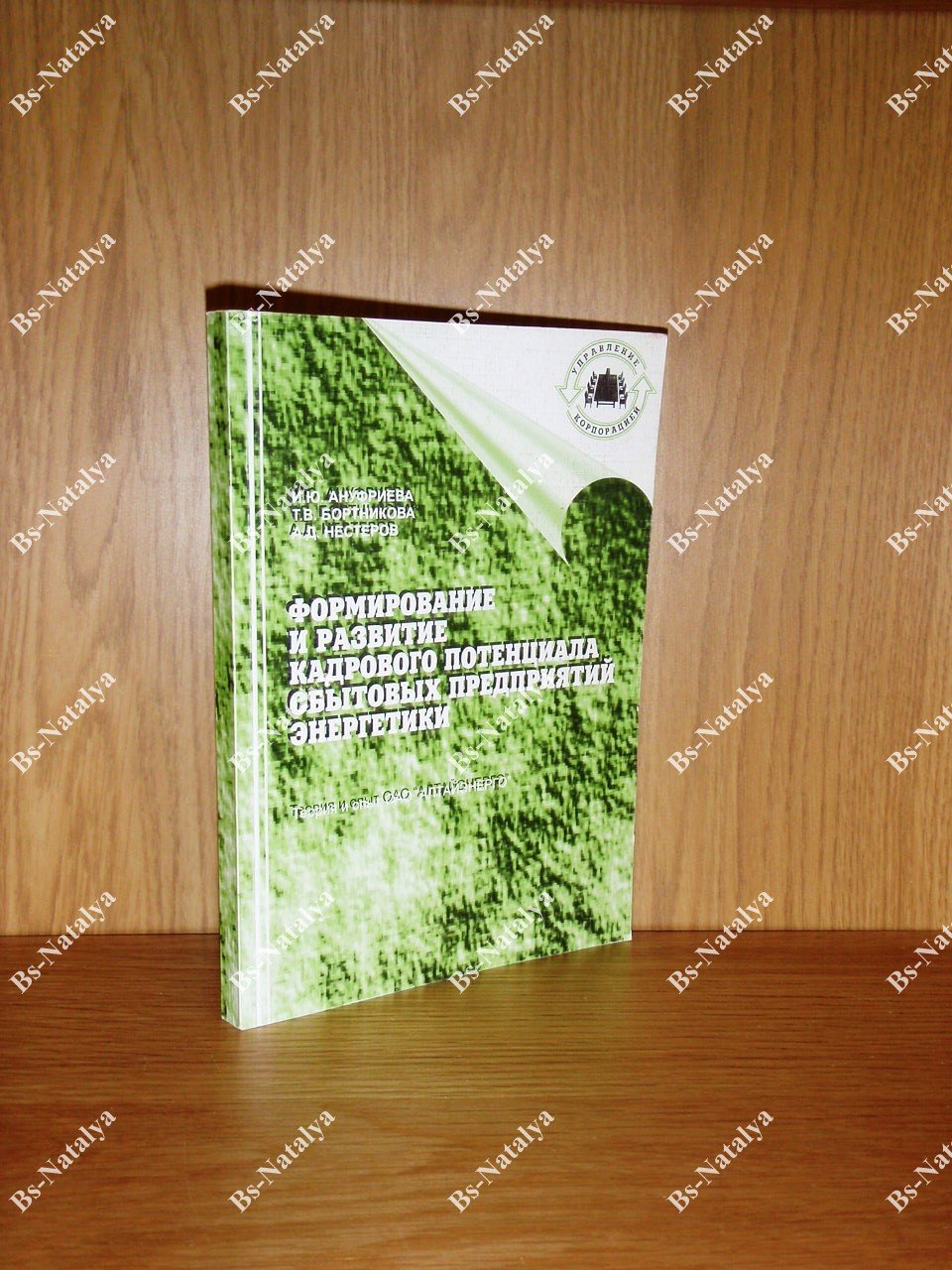 Ануфриева И.Ю., Бортникова Т.В., Нестеров А.Д. Формирование и развитие кадрового потенциала сбытовых предприятий энергетики.