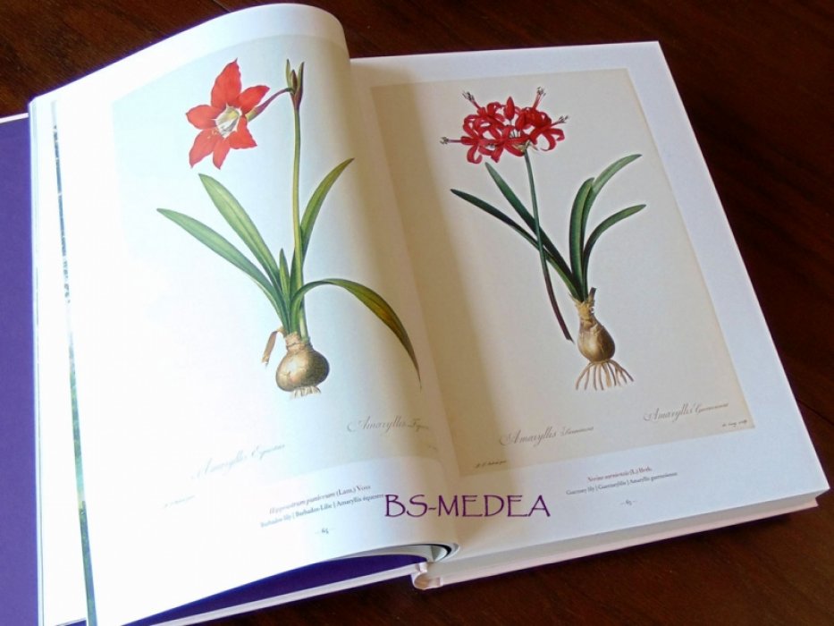 Редуте, Пьер-Жозеф (Pierre-Joseph Redoute). Redoute. The Book of Flowers. РЕДУТЕ. Книга цветов. Ботаническая иллюстрация (на английском языке, без брошюры с переводом). Тискусство.