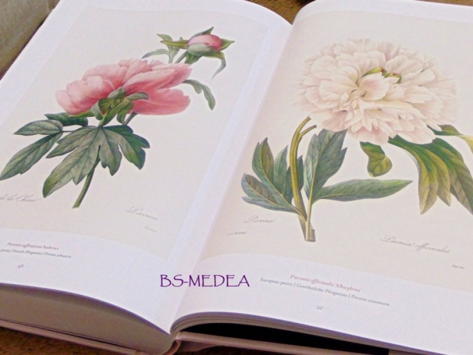 Редуте, Пьер-Жозеф (Pierre-Joseph Redoute). Redoute. The Book of Flowers. РЕДУТЕ. Книга цветов. Ботаническая иллюстрация (на английском языке, без брошюры с переводом). Тискусство.