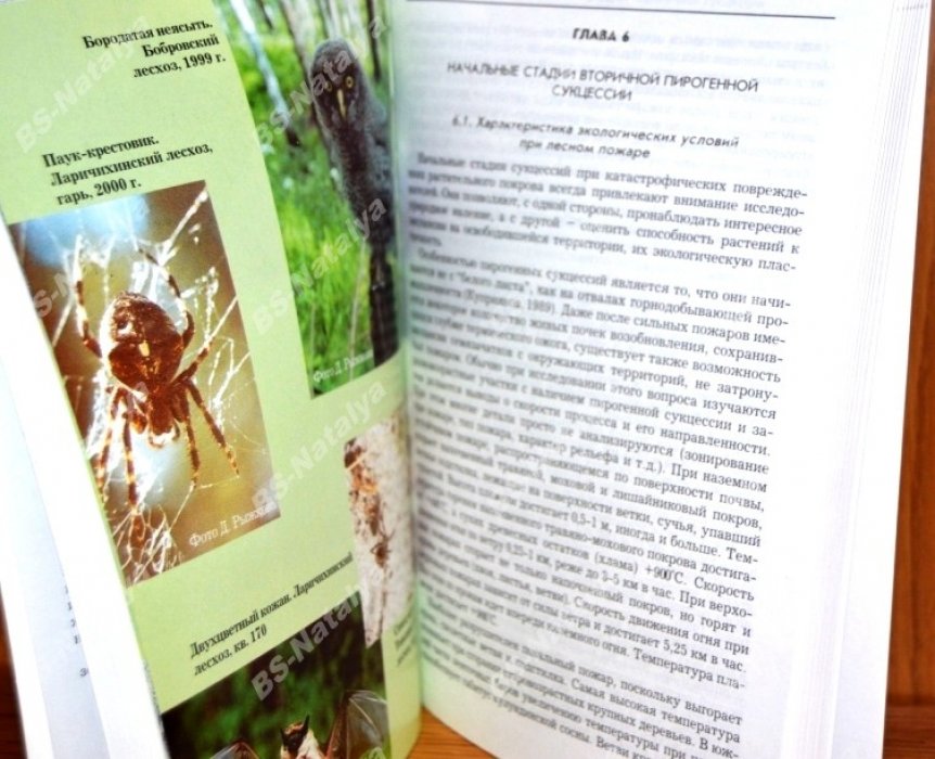 Куприянов А.Н., Трофимов И.Т., Заблоцкий В.И. и др. Восстановление лесных экосистем после пожаров.