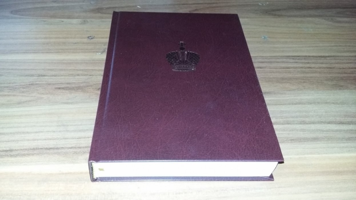 Дневник великого князя Георгия Александровича. 1894 г.: Текст.