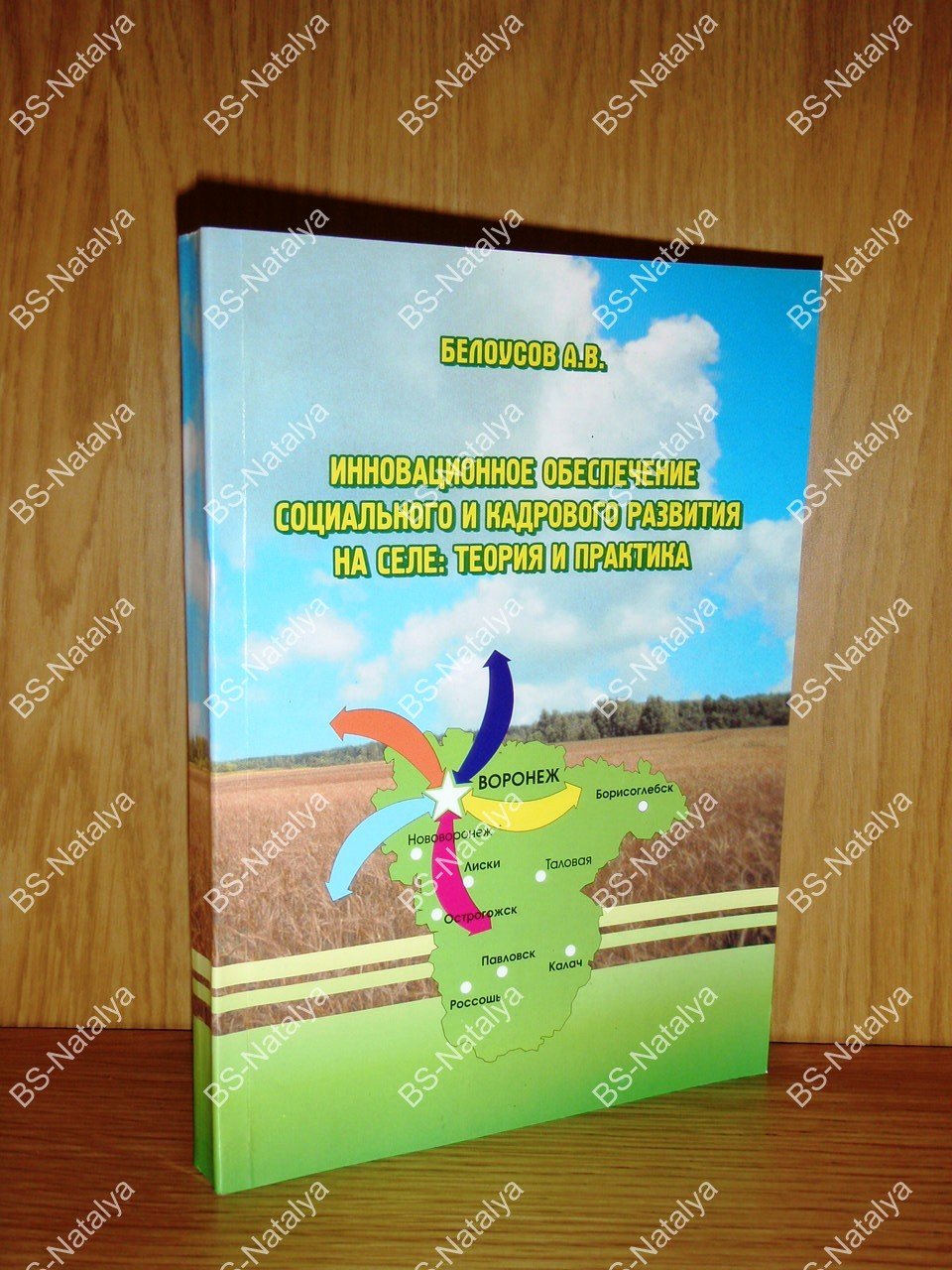 Белоусов А. В. Инновационное обеспечение социального и кадрового развития на селе: теория и практика.