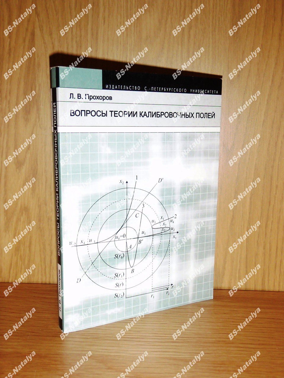 Прохоров Л. В. Вопросы теории калибровочных полей.