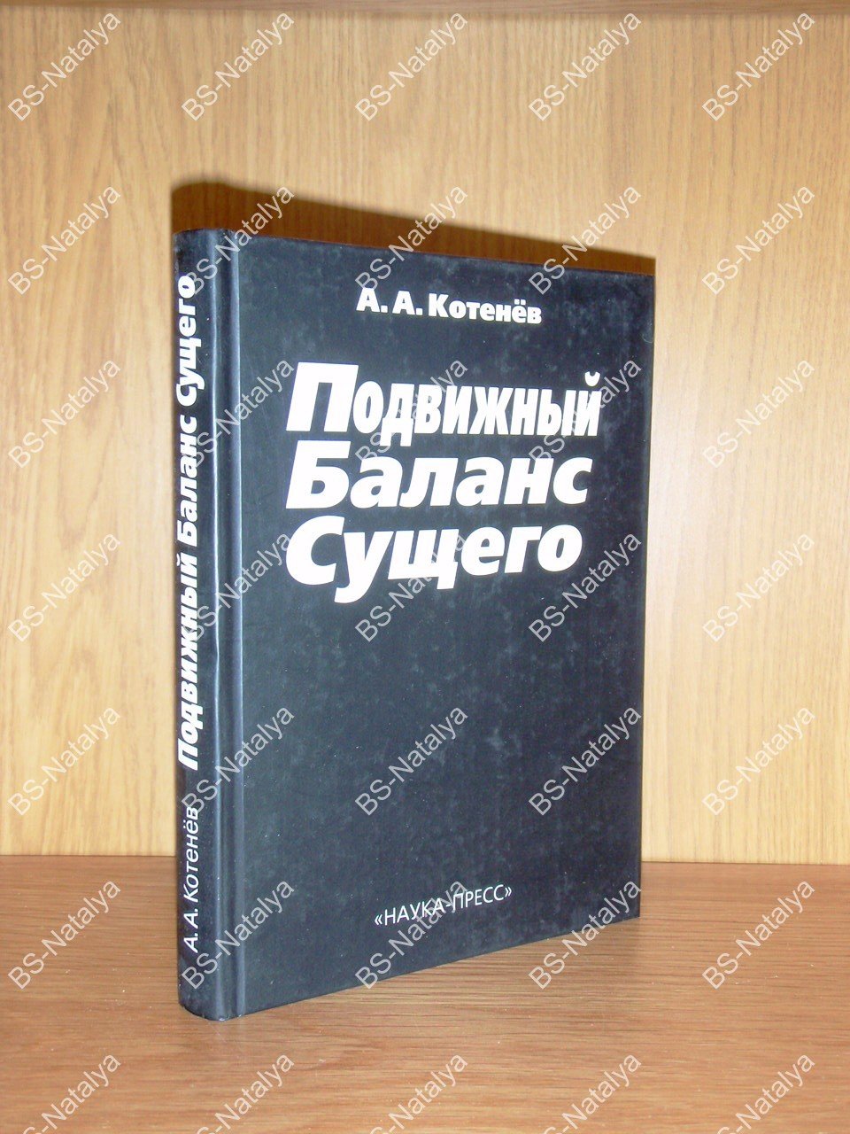 Котенев А.А. Подвижный Баланс Сущего.