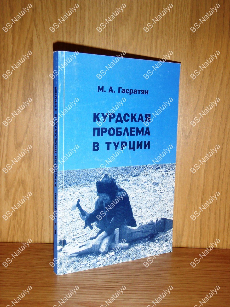 Гасратян М.А. Курдская проблема в Турции (1986-1995).