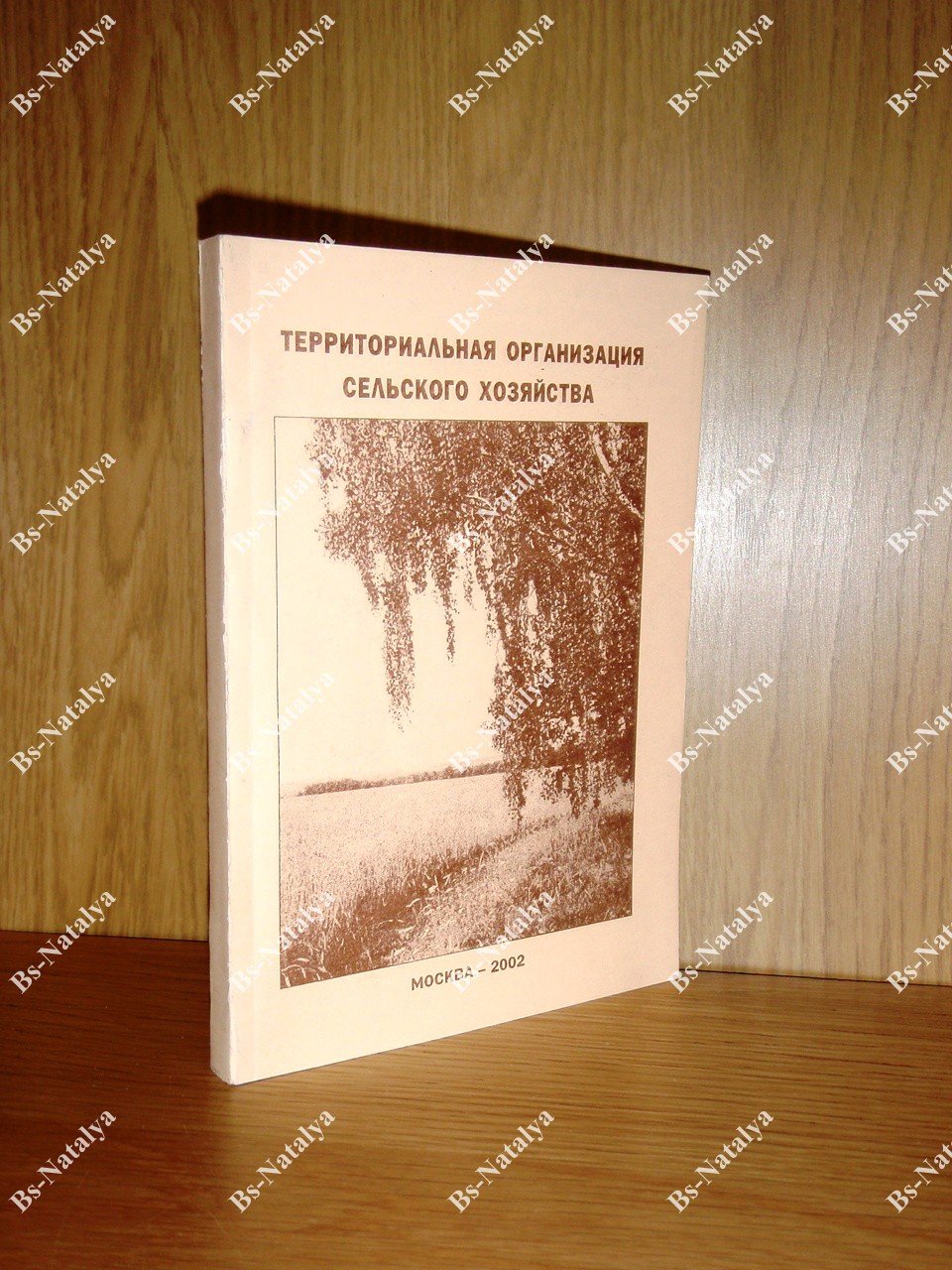 Территориальная организация сельского хозяйства.